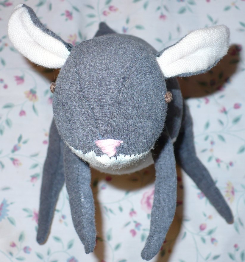 Jackrabbit head-on
