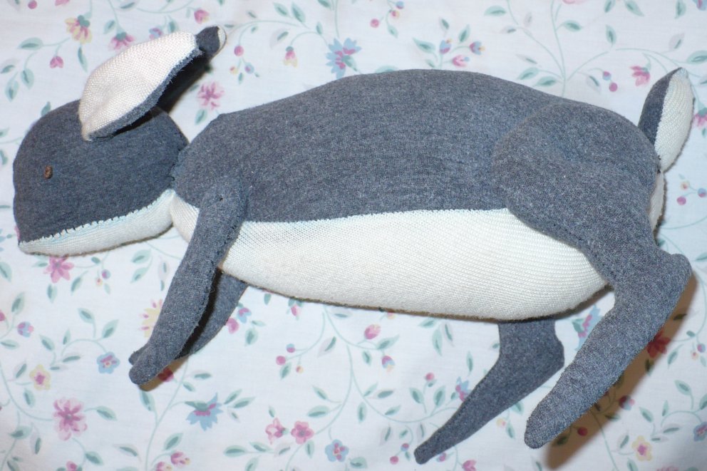 Jackrabbit side view